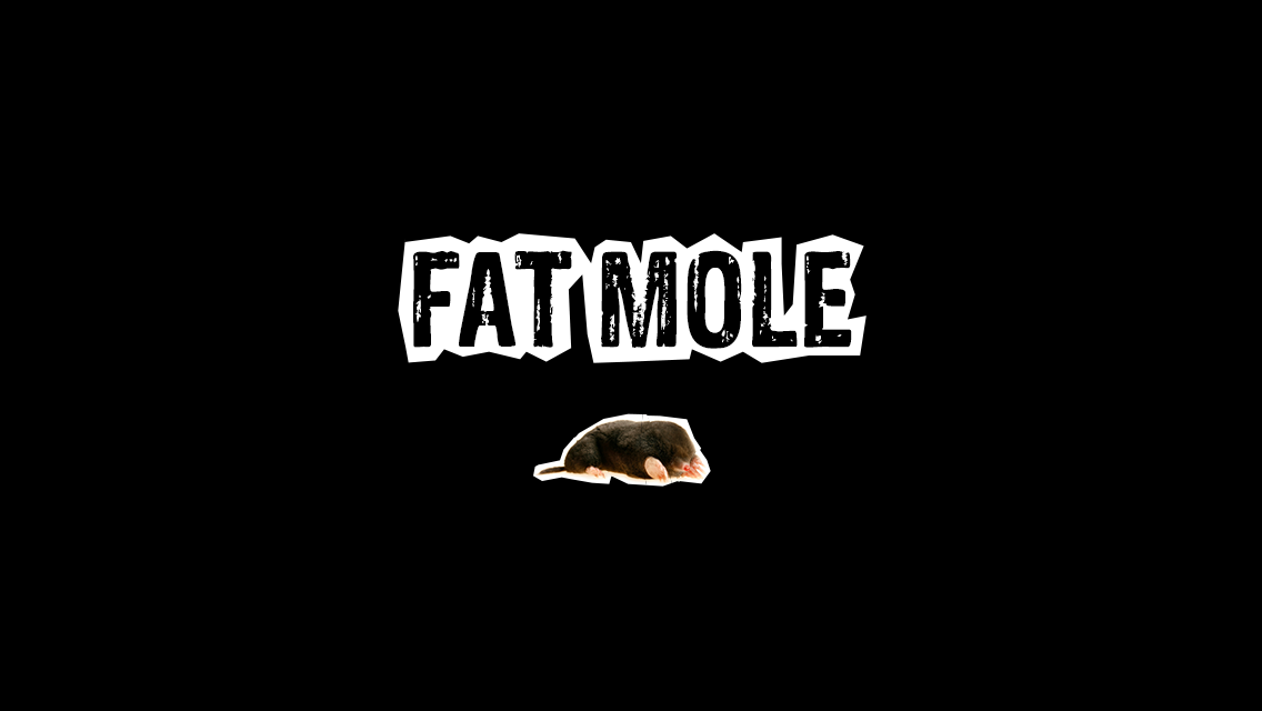 Fat Mole title screen Screenshot Fat Mole level title screen